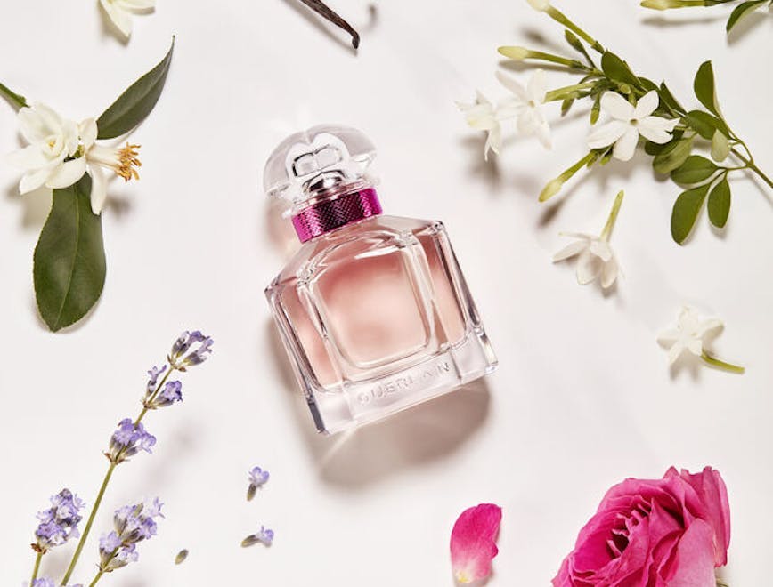 perfume bottle cosmetics plant petal flower blossom