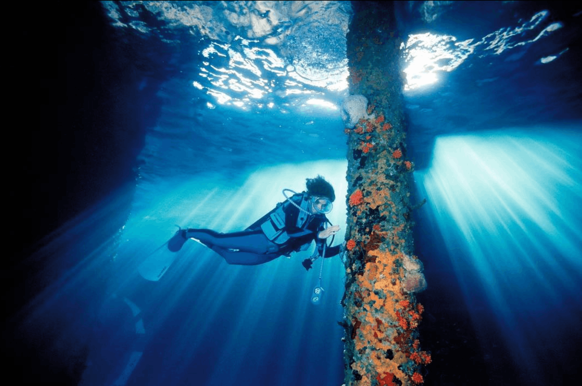 water outdoors person human diving diver sport sports scuba diving aqua scuba