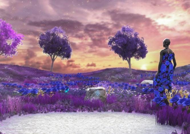 plant person human purple spring lavender flower blossom