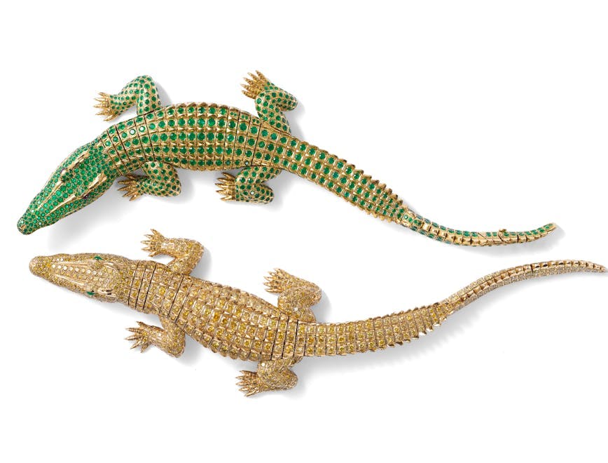 animal gecko lizard reptile